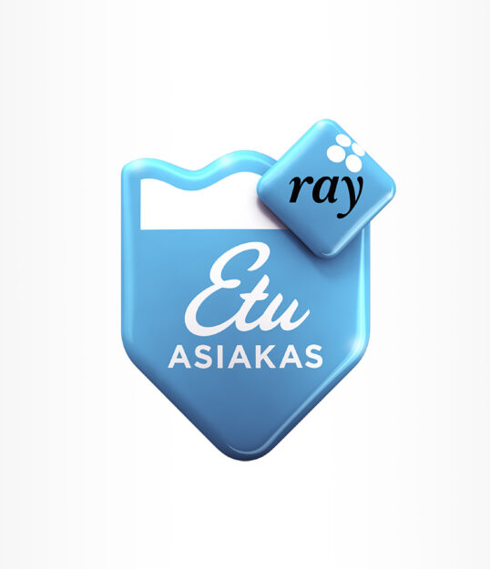 3d-mallinnus-ray-logo